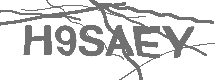 CAPTCHA Image