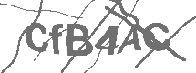 CAPTCHA Image