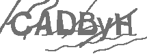 CAPTCHA Image