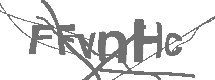 CAPTCHA Image
