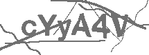 CAPTCHA Image
