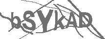 CAPTCHA Image