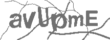 CAPTCHA Image