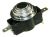 50097696004 THERMOSTAT