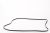 C00375153 481281728435 POLY-V-RIEMEN