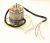 SPP0212058 Motor S40 024 01 HE