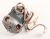 SPP0212083 Motor M02328 EDGE 4V Anschluss