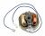 CS-00124111 Motor